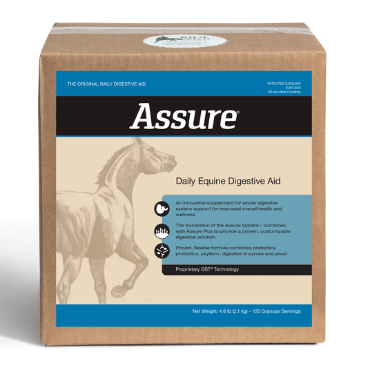 Assure Equine Digestive Support Supplement