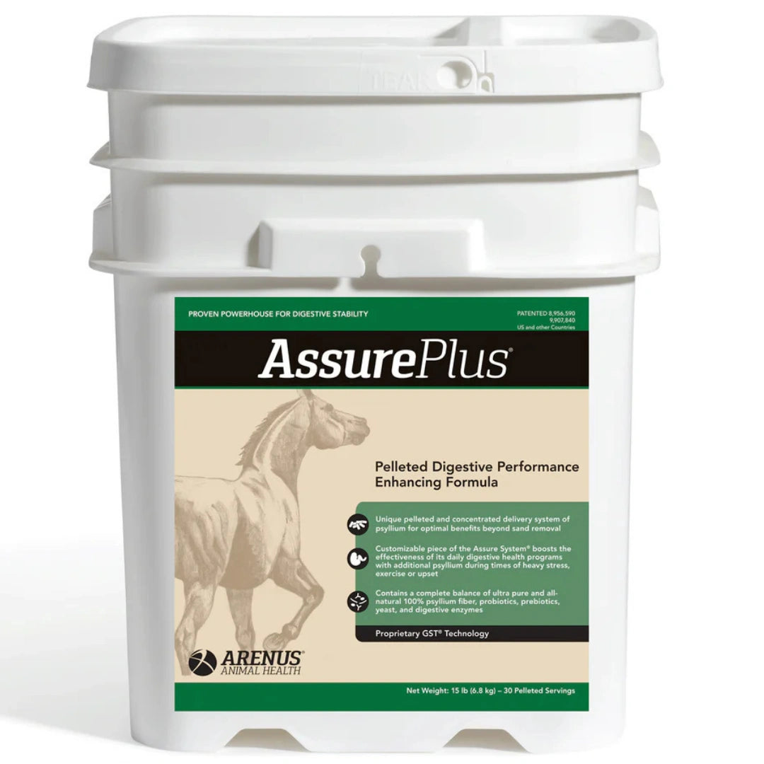 Assure Plus Equine Digestive Supplement