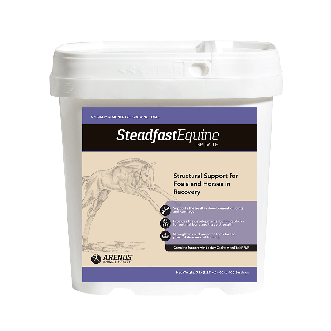 Steadfast Equine Growth