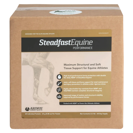 Steadfast Equine Performance