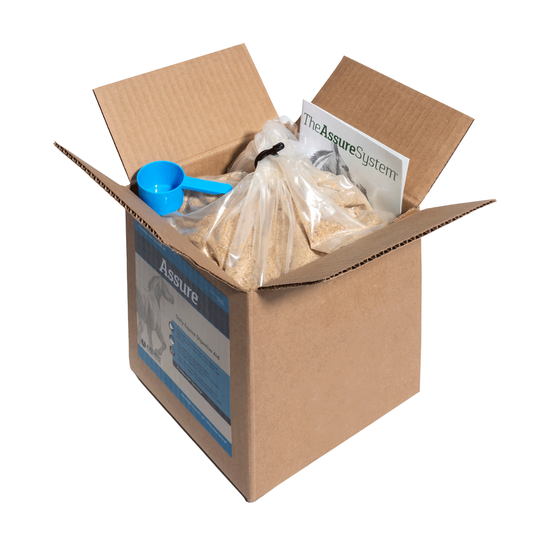 Assure Equine Digestive Support Supplement