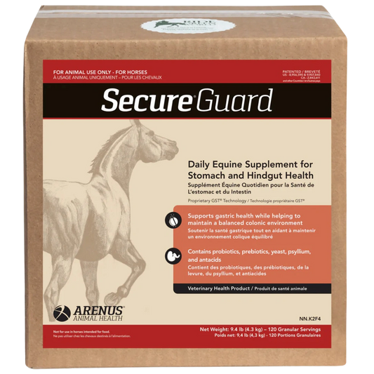 assure-guard-digestive-support-supplement
