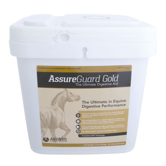 assure-guard-gold-horse-supplement