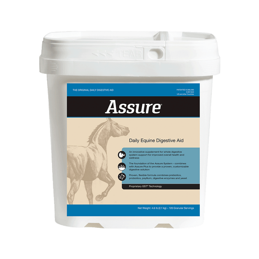 assure-supplement-for-horses