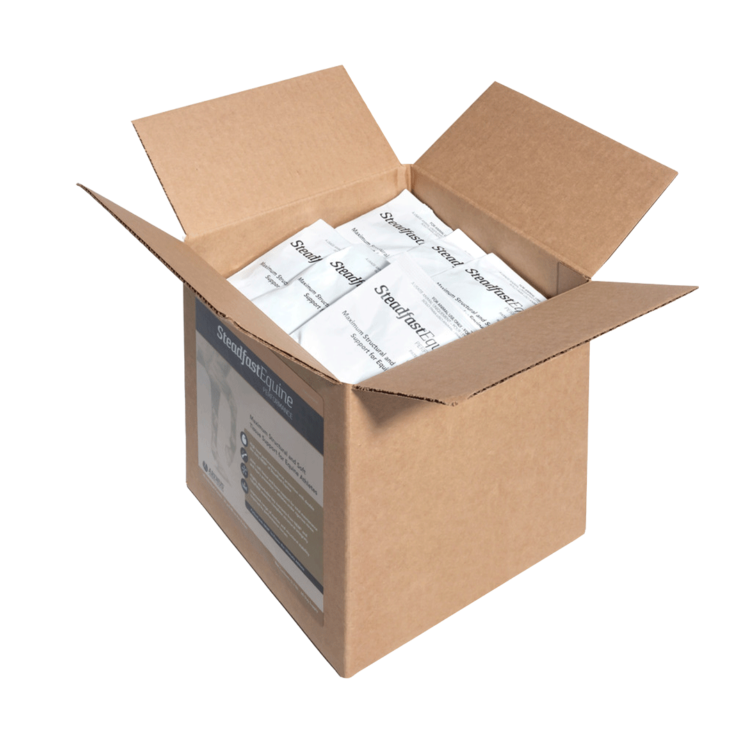 Steadfast Equine Performance