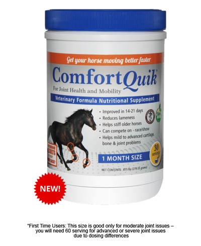 How Comfort Quik Can Help Your Horse