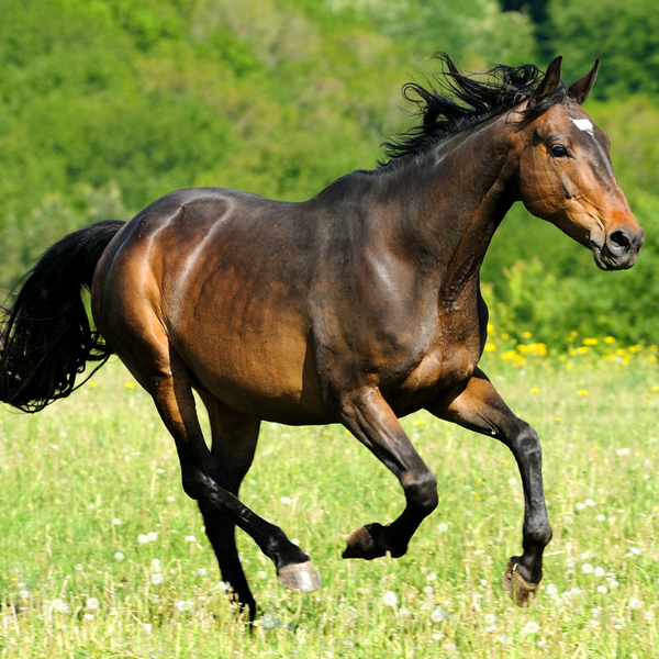 Spring Into Better Health with Health-E!