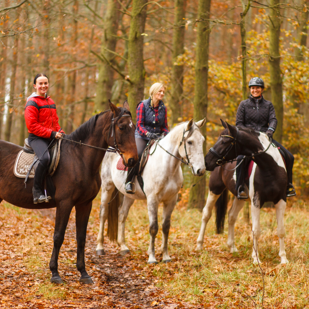 A group of three rides their horses through field.