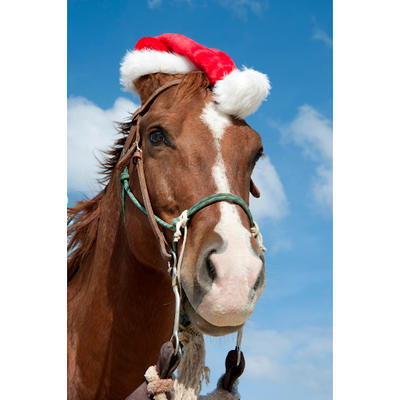 Holiday-Themed Horse Activities to Brighten Your Winter