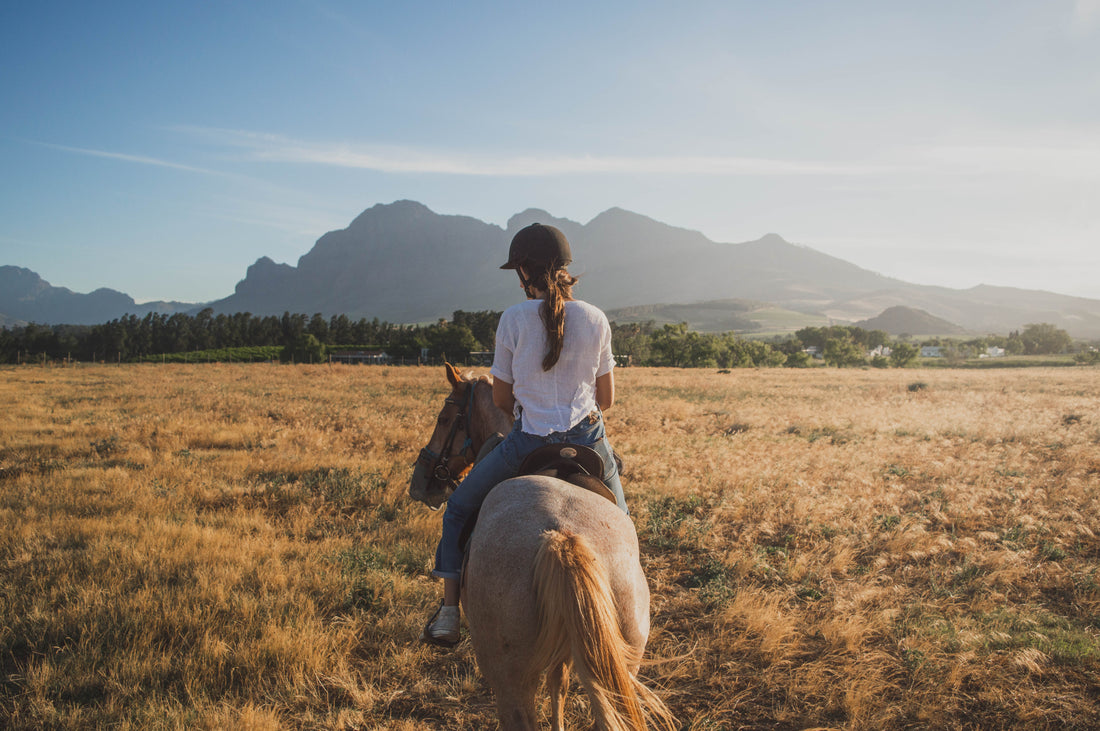 person riding horse