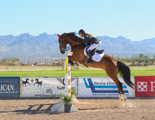 horse jumping in show