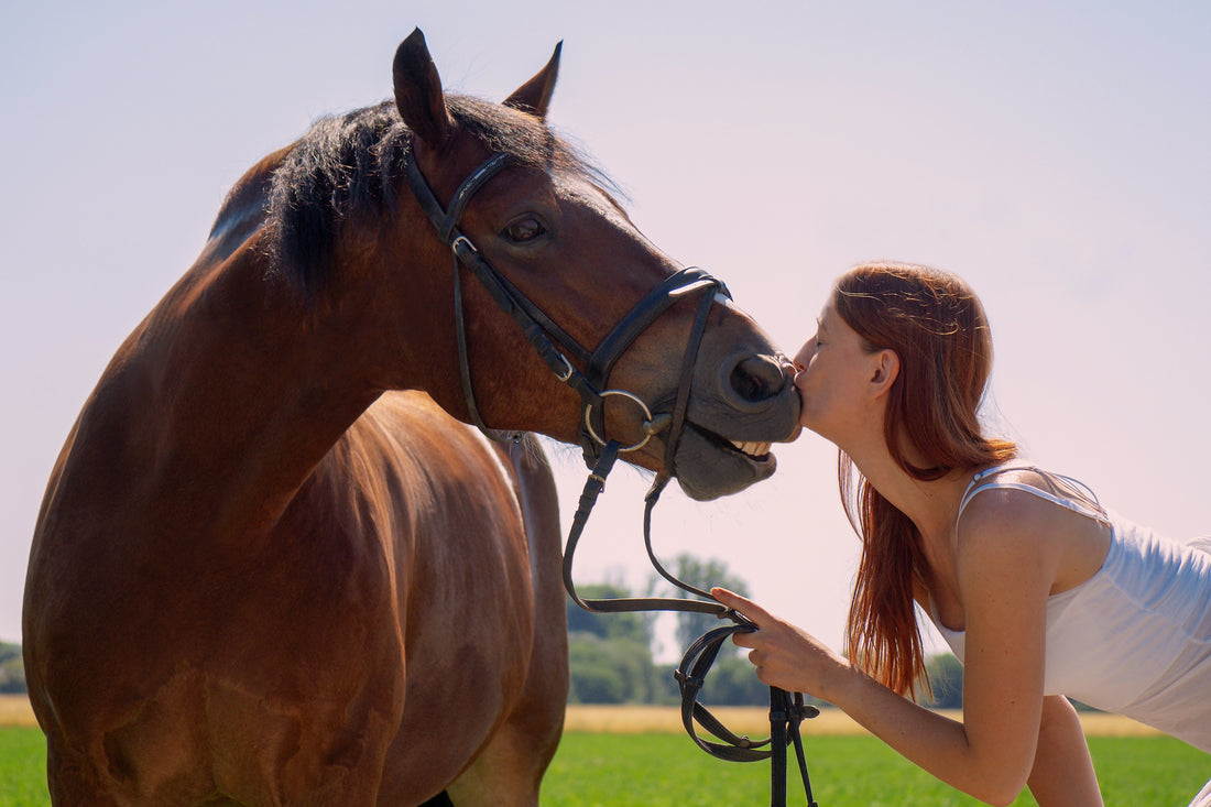 Equine First-Aid Kit Essentials!
