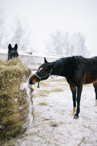 Barn Maintenance in the New Year