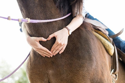 Spend Valentine's Day with your Horse