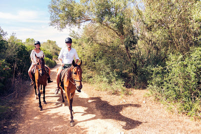 How to keep yourself and your horse safe during the summer riding season
