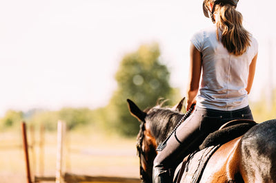 Summer Bucket List: 15 Things to do with your Horse