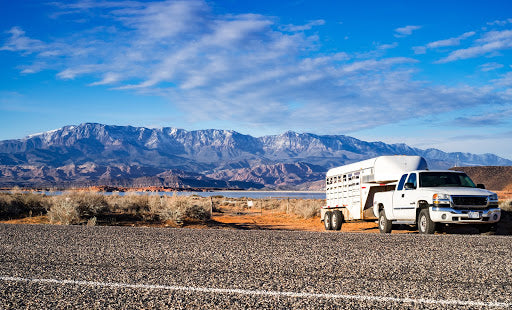 10 Ways To Prepare Your Horse For Long Distance Travel