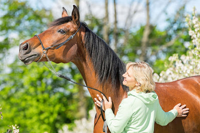 4 Spring Activities for You and Your Horse