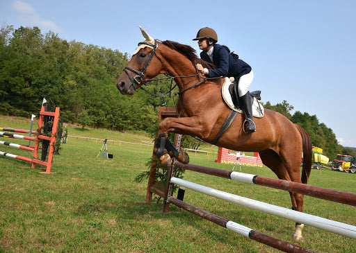 What is Equine Osteoarthritis?