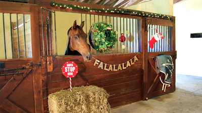 Deck the Stalls: Safe Ways to Decorate Your Barn