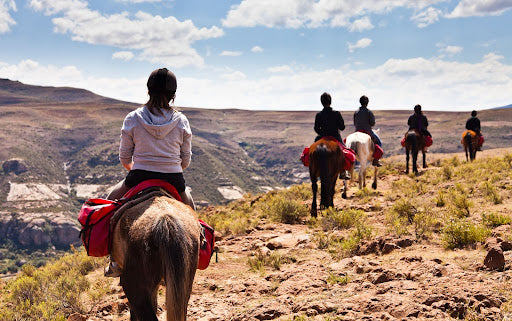 5 Things to Teach Your Trail Horse