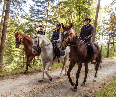Fall Equine Safety: Riding and Handling Horses with Caution