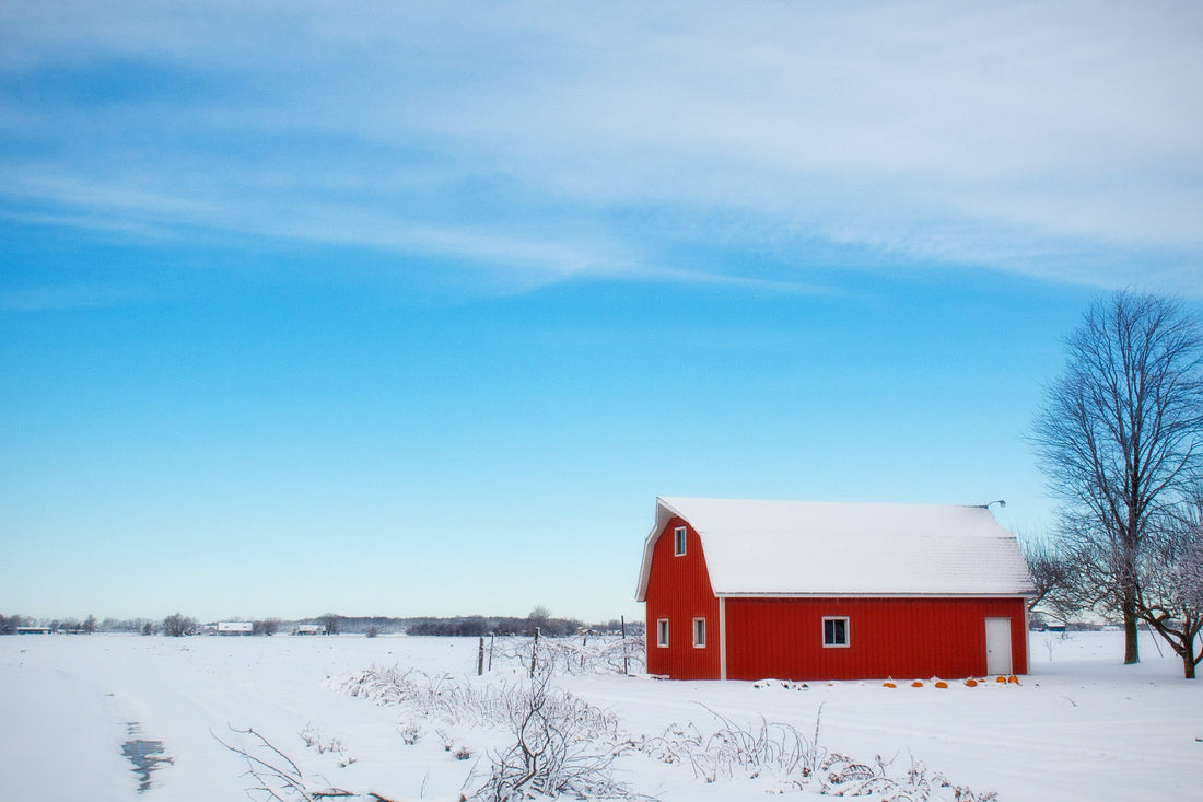 barn in snow