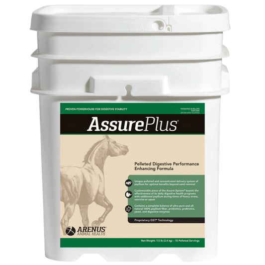 Assure Plus Equine Digestive Supplement