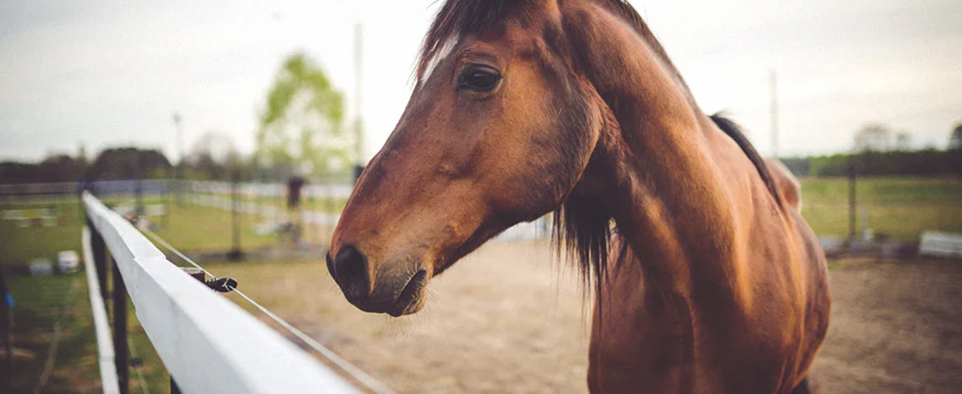 WeProvideProductsForbackgroundImage