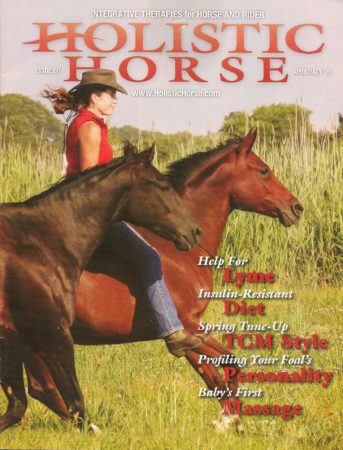 Dietary Management Strategy for Your IR Horse