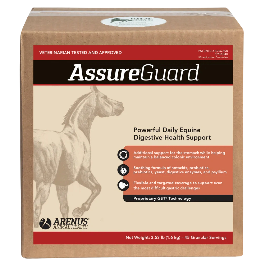 assure-guard-equine-digestive-support-supplement