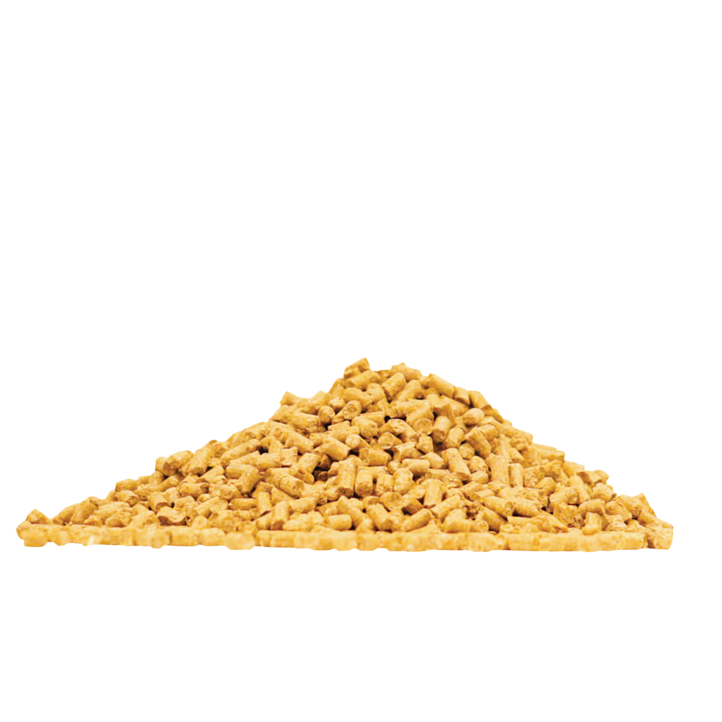 assure-guard-gold-equine-supplement-by-arenus