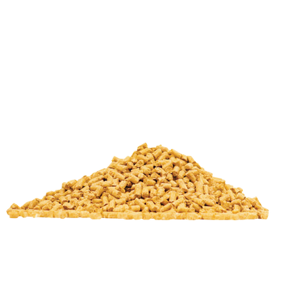 assure-guard-gold-equine-supplement-by-arenus