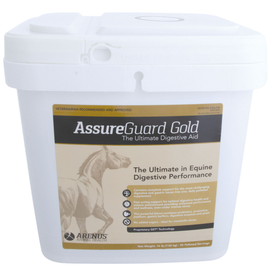 assure-guard-gold-horse-supplement