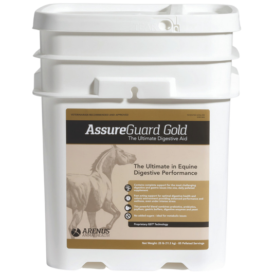 assure-guard-gold-suplement-for-horses