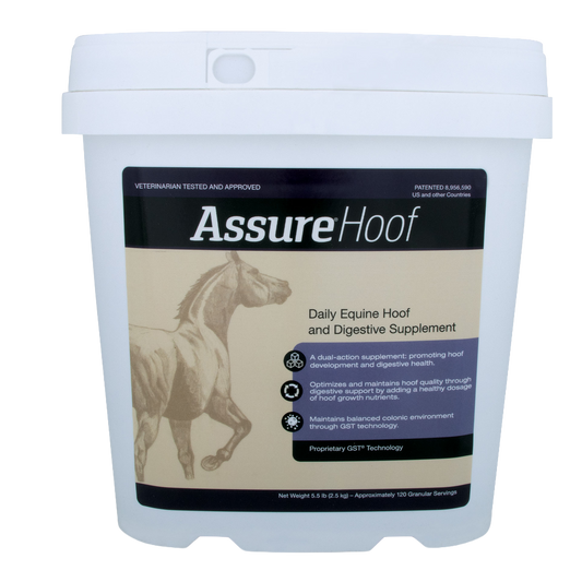 assure-hoof-equine-supplement