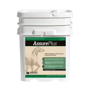 Assure Plus Equine Digestive Supplement