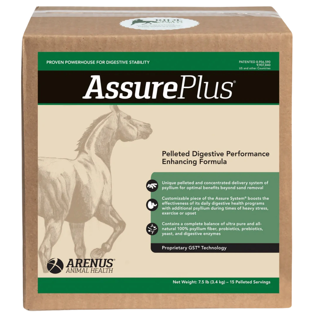 assure-plus-digestive-supplement-for-horses