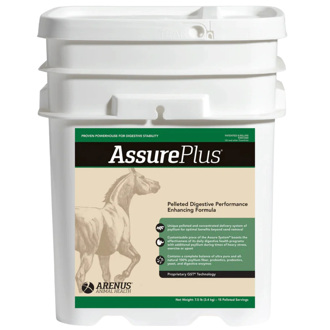 assure-plus-equine-digestive-supplement-for-horses