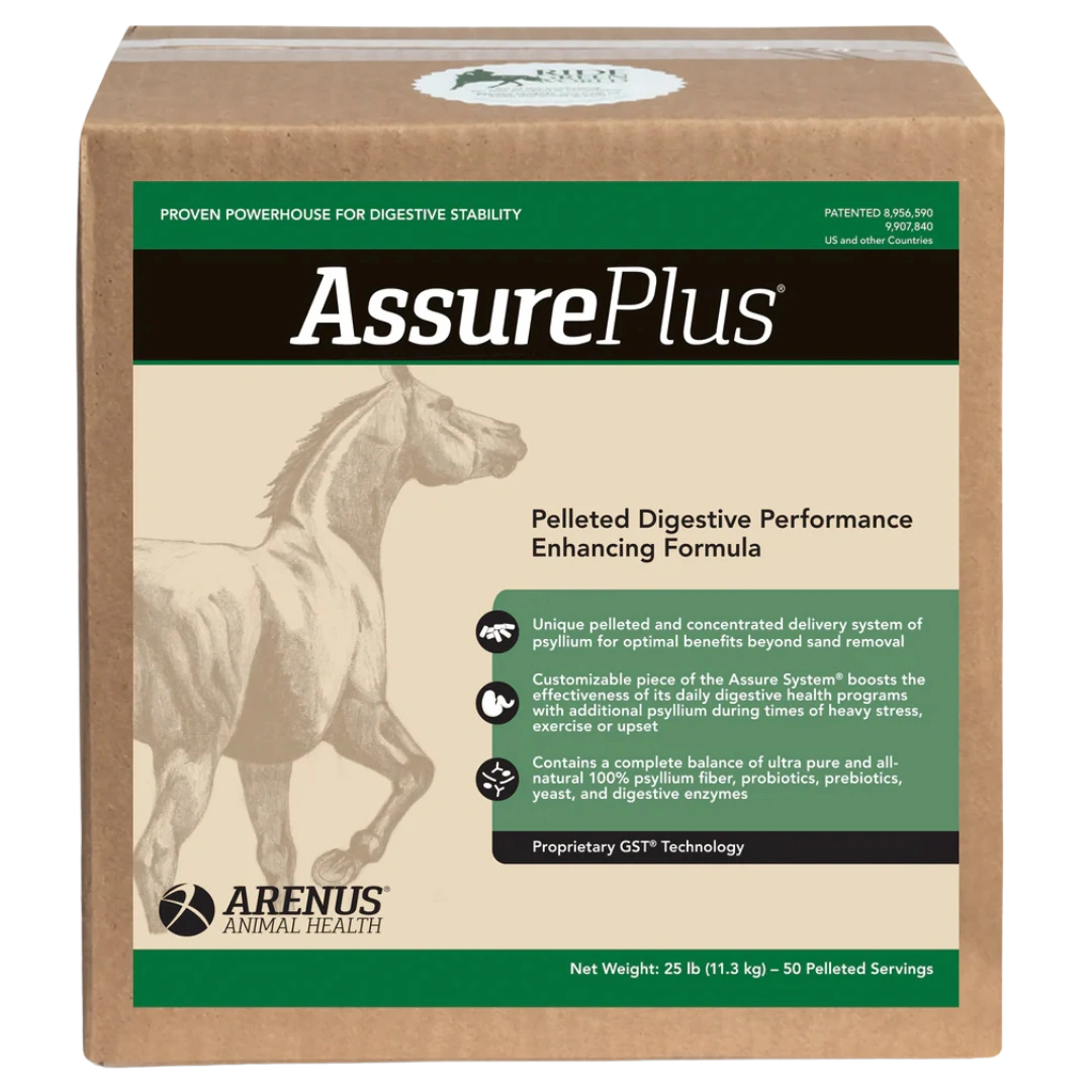 assure-plus-equine-digestive-supplement