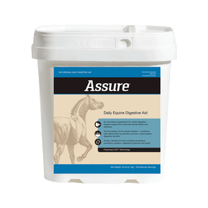 Assure Equine Digestive Support Supplement