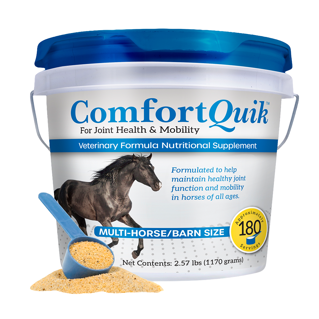comfort-quick-for-equine-health