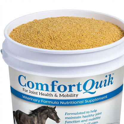 comfort-quik-equine-joint-health-supplement