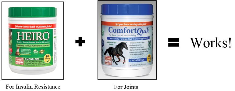 Horse Joint Supplement: Can I Use Heiro with Comfort Quik?