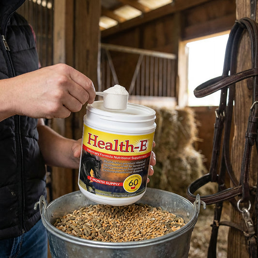 health-e-equine-supplement