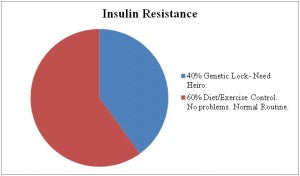 What Are The Signs of Horse Insulin Resistance?