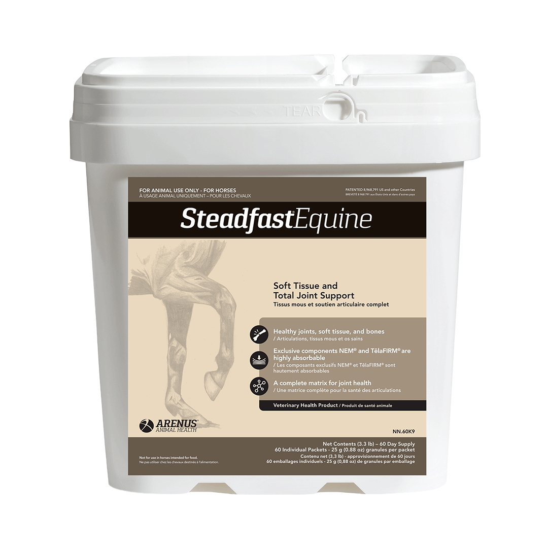 Steadfast Equine Joint Supplement