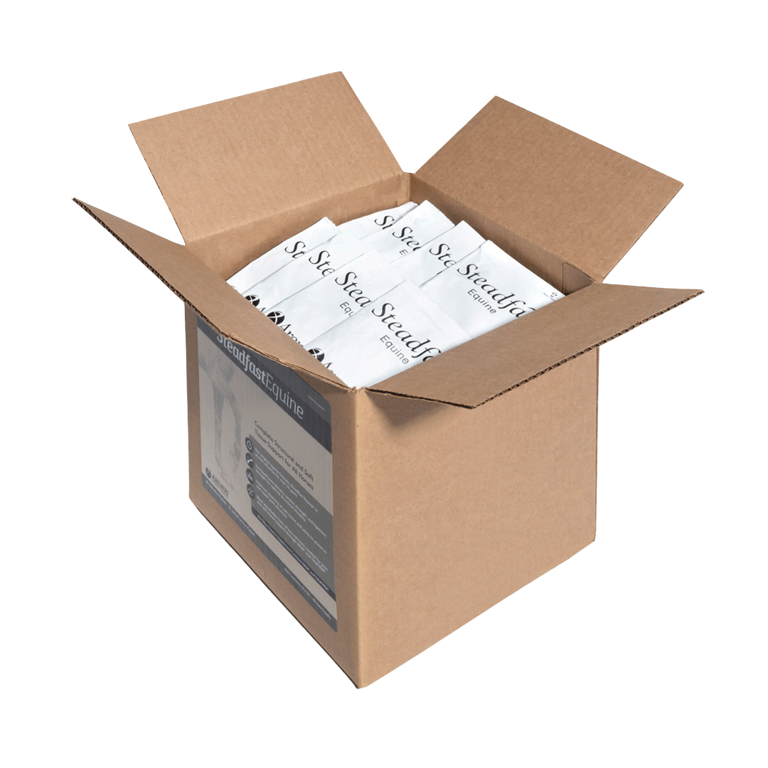 Steadfast Equine Joint Supplement