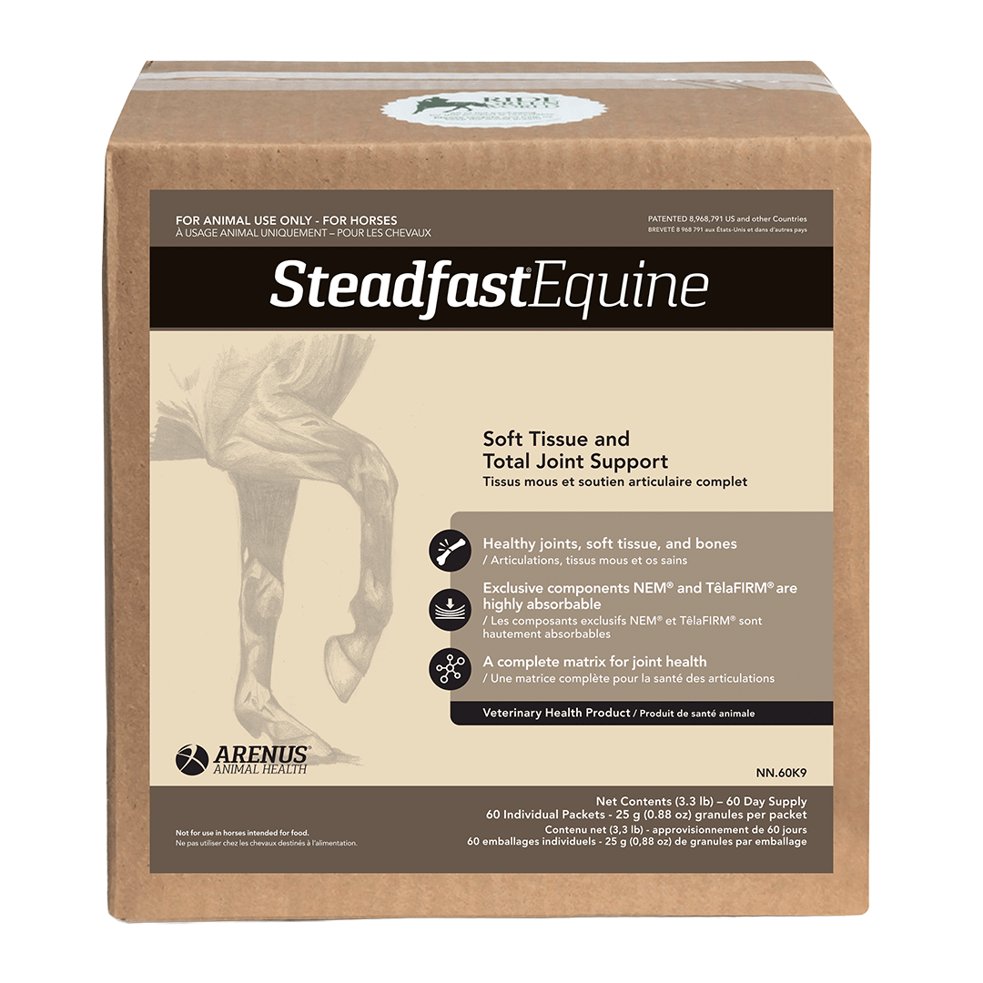 Steadfast Equine Joint Supplement