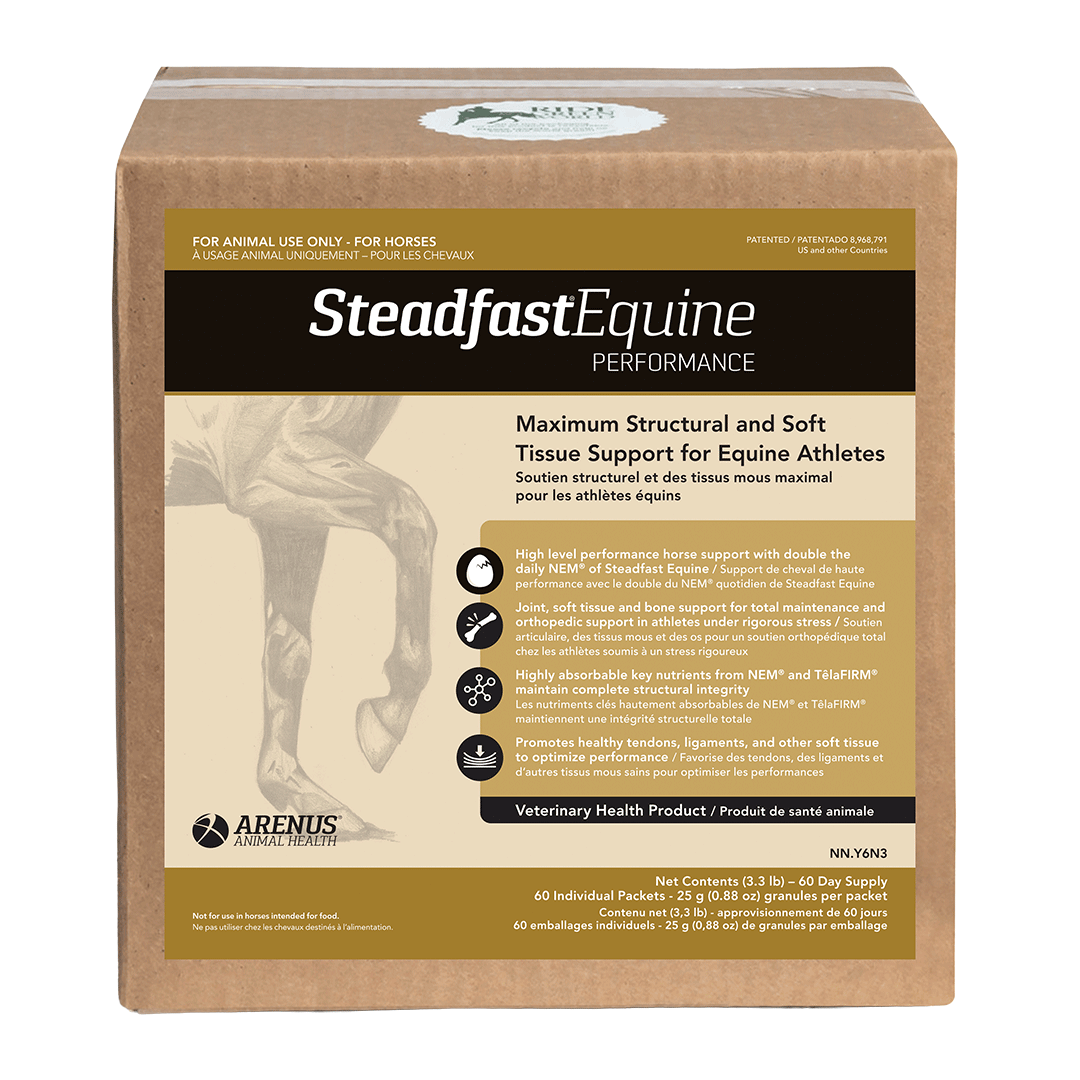 Steadfast Equine Performance